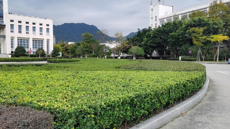 暖季型草坪春夏施肥配方