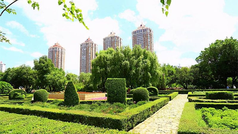 道路绿化设计规范：行道树间距的科学考量**